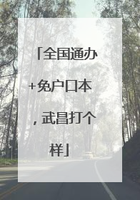 全国通办+免户口本，武昌打个样